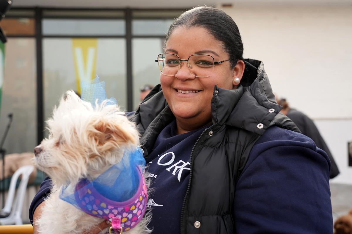 Mascotas disfrazadas en el Carnaval del Grau de Castelló. ¿Has participado? Búscate en esta divertida iniciativa