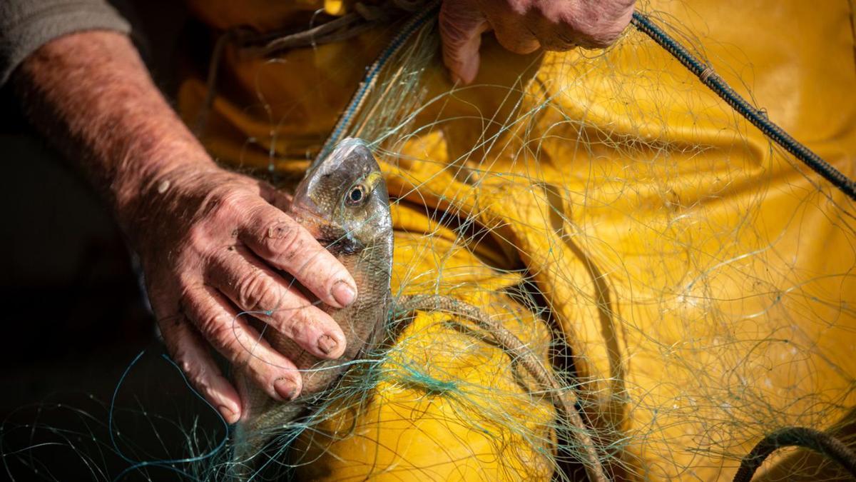 Un pescador treballant a la Costa Brava, en una imatge d’arxiu