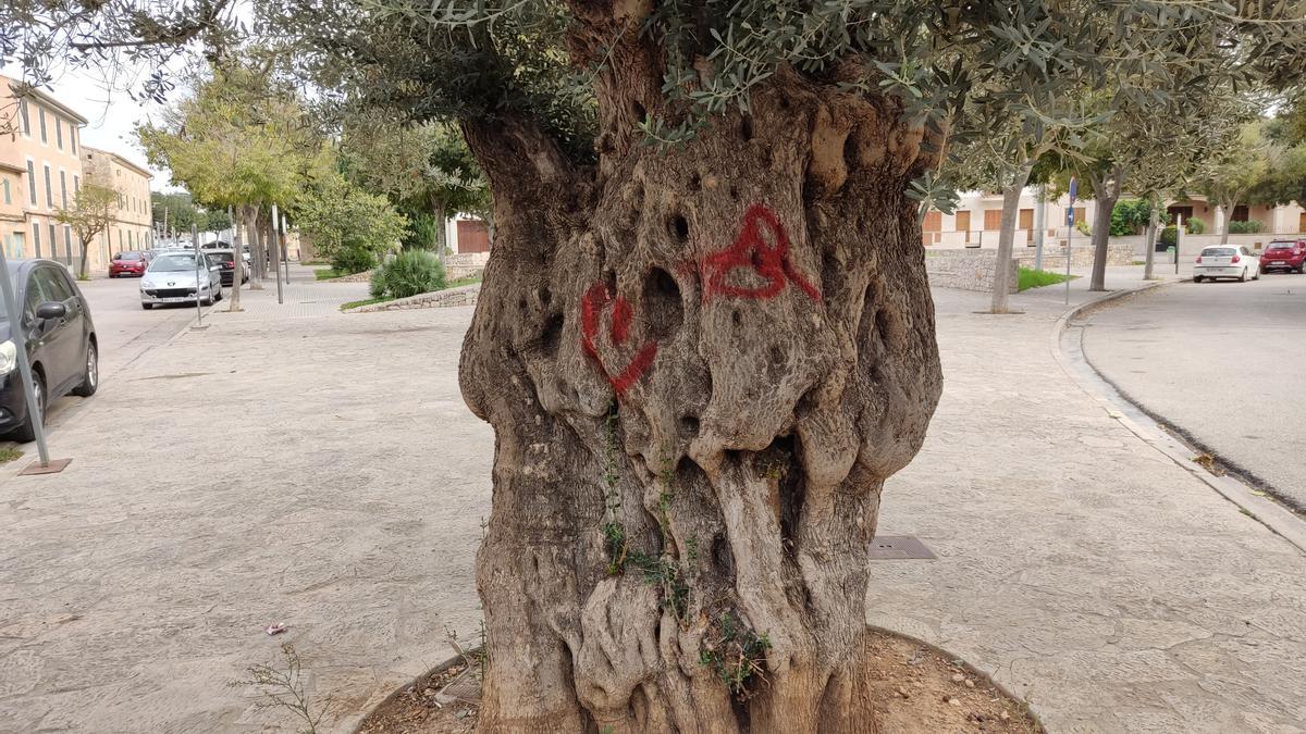 Una de las pintadas ha afectado a un olivo ubicado en la plaça de s&#039;Era.