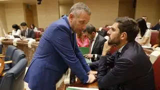 El PSOE advierte de que "comienza a materializarse el chantaje de Vox al PP" con la reforma de la Ley de Participación Institucional
