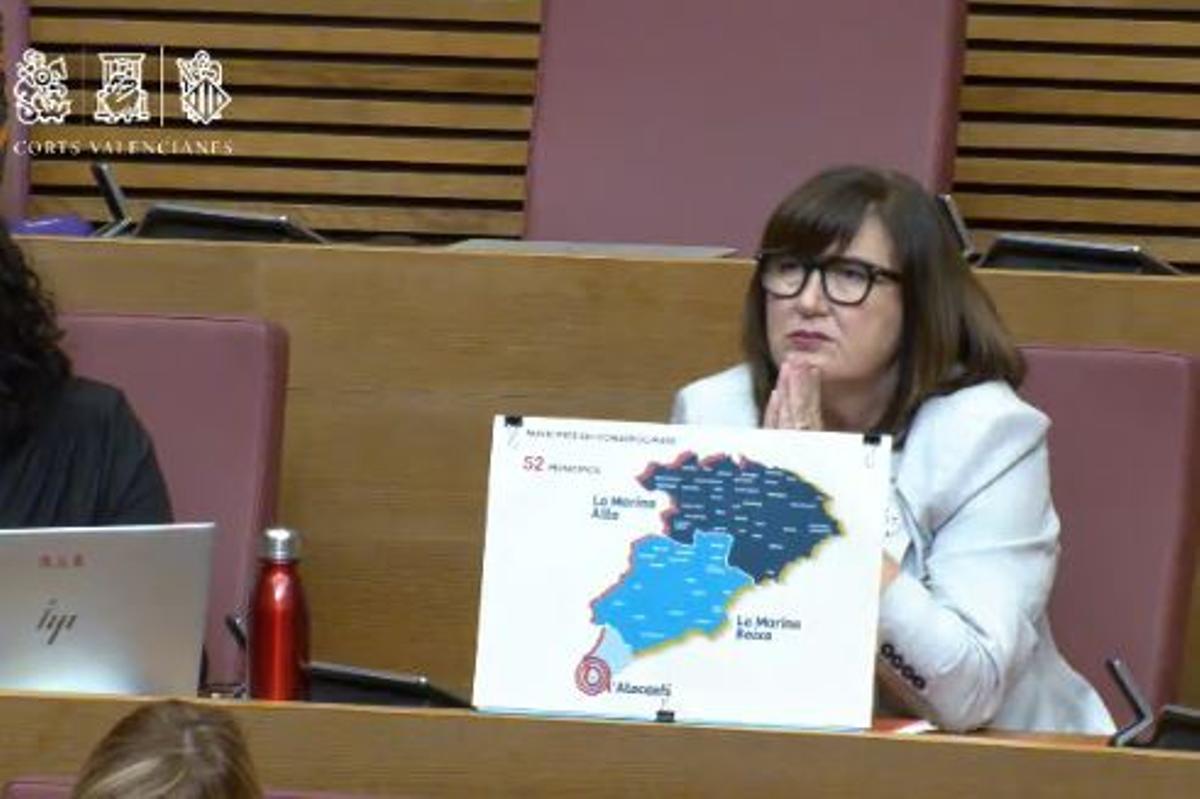 La diputada del PSPV-PSOE escucha la intervención del consellr