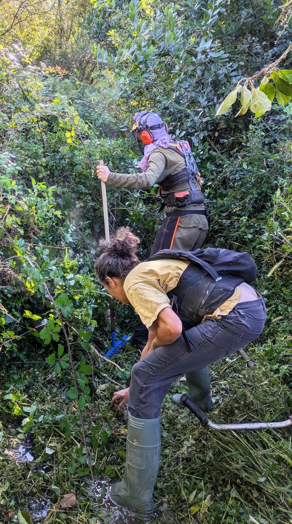 Camino limpio con la calzada al descubierto. Arriba e izda., miembros del equipo limpiando y, sobre estas líneas, en rojo el trazado de la senda. |  FdV