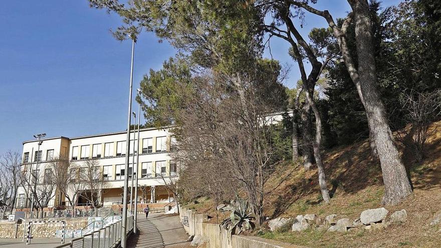 L&#039;entrada al centre escolar de Montjuïc, amb alguns dels pins que s&#039;hauran de talar