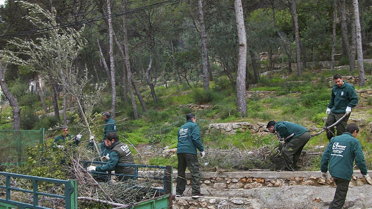 Trabajadores contratados en un taller de empleo Centelles de Oliva en una edición anterior. | LEVANTE-EMV