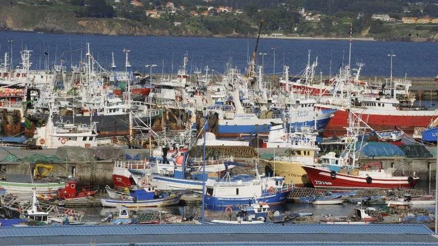 Flota pesquera amarrada al muelle en Oza.