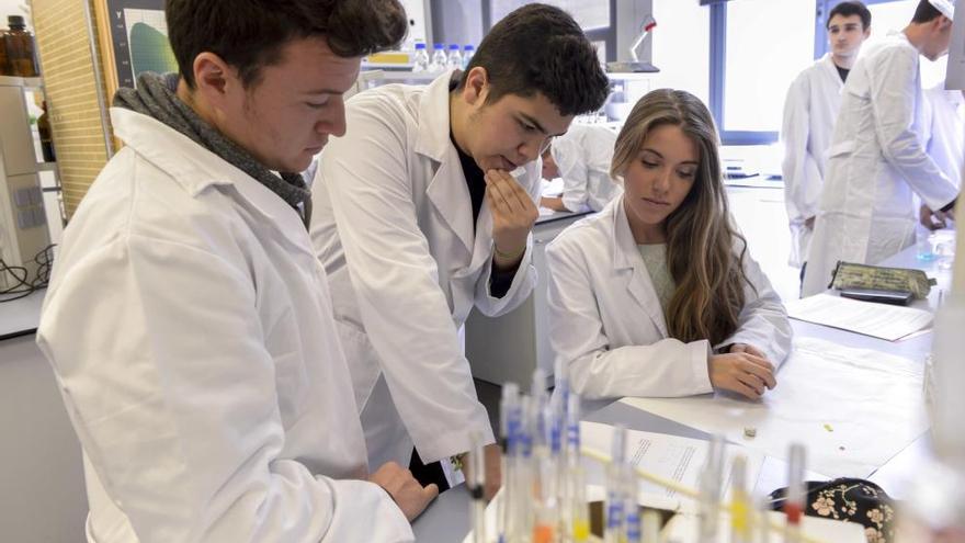 Estudiantes del grado en Ingeniería Química.