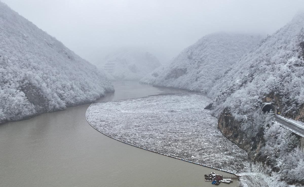 El río Drina, en Bosnia, obstruido por enormes cantidades de basura