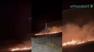 Zonas verdes "en abandono": ¿está Cáceres lista para los incendios del verano?