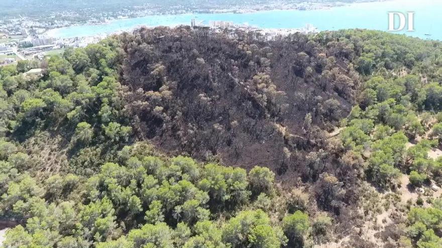 Estado en el que ha quedado sa Talaia de Sant Antoni tras el incendio