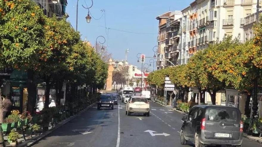 Dos empresas optan a la reurbanización de la Alameda de Andalucía de Antequera