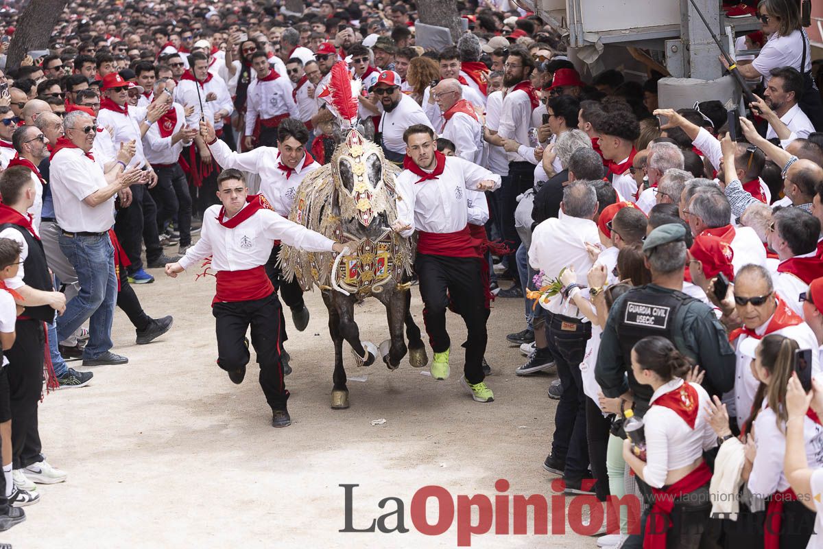 Así se ha vivido la carrera de Los Caballos del Vino en Caravaca