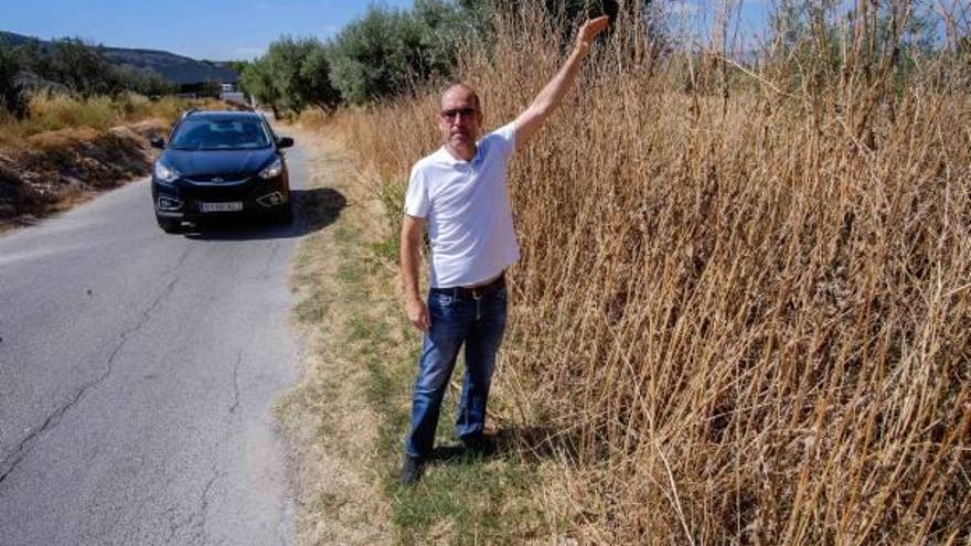 La maleza que existe en algunos de los caminos supera la altura de un hombre.