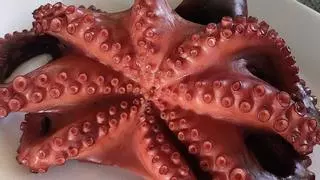 El guachinche de Tenerife que solo cuenta con cinco platos en carta: vino de cosecha propia y cocina tradicional