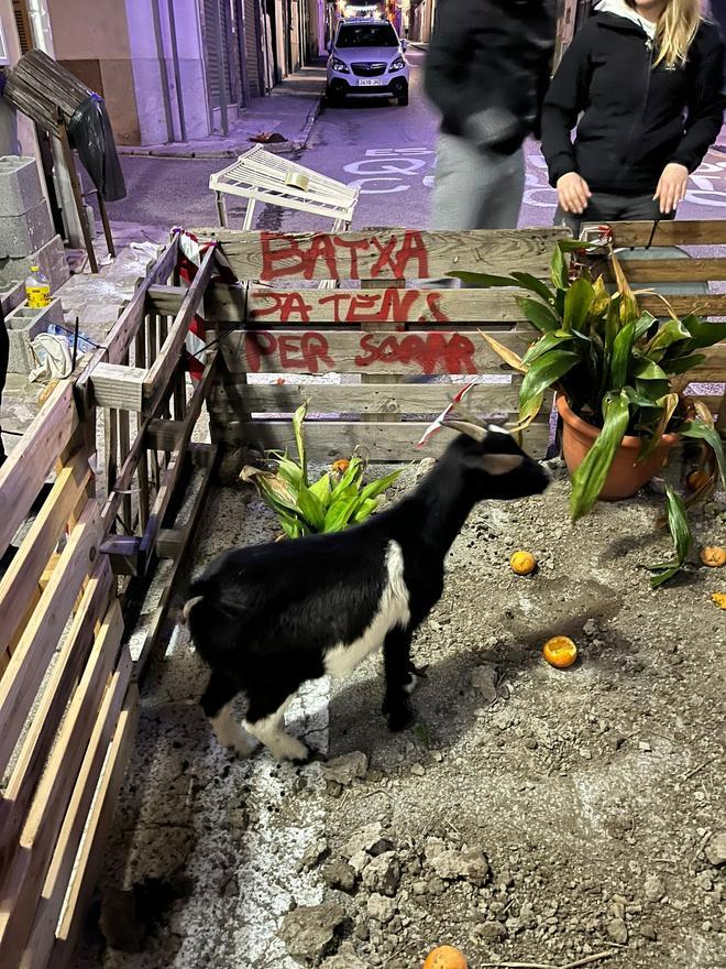 Corral a las puertas del ayuntamiento de Sant Joan.