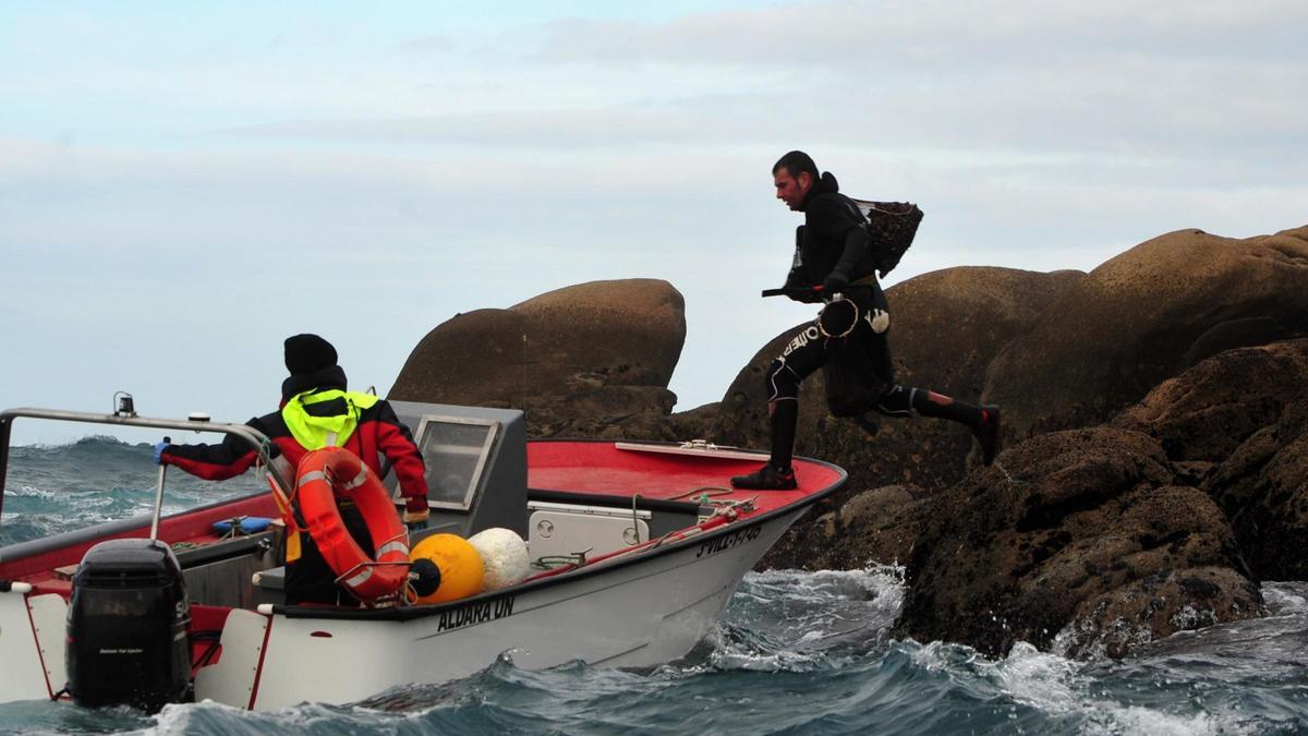 Una lancha se acerca a las rocas para recoger a un percebeiro.