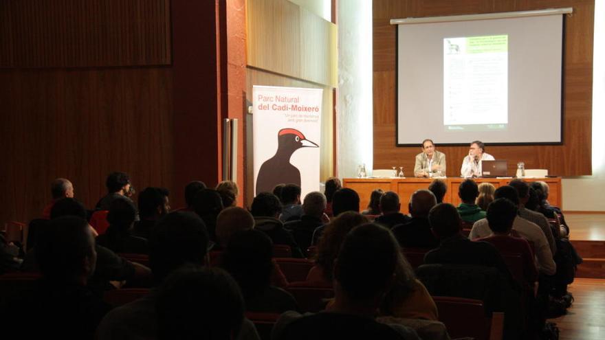 Jornada tècnica celebrada a la Seu d&#039;Urgell sobre la gestió del llop