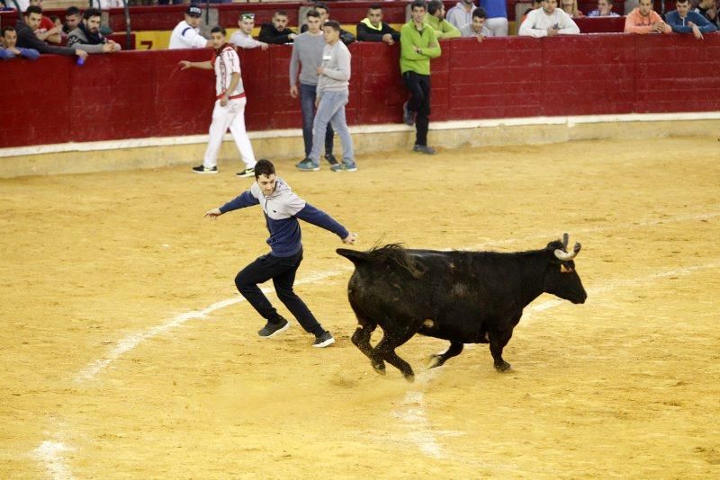 Vaquillas del 9 de octubre