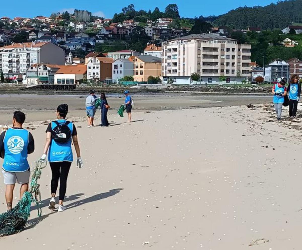 Voluntarios limpiando A Xunqueira. | G.N.