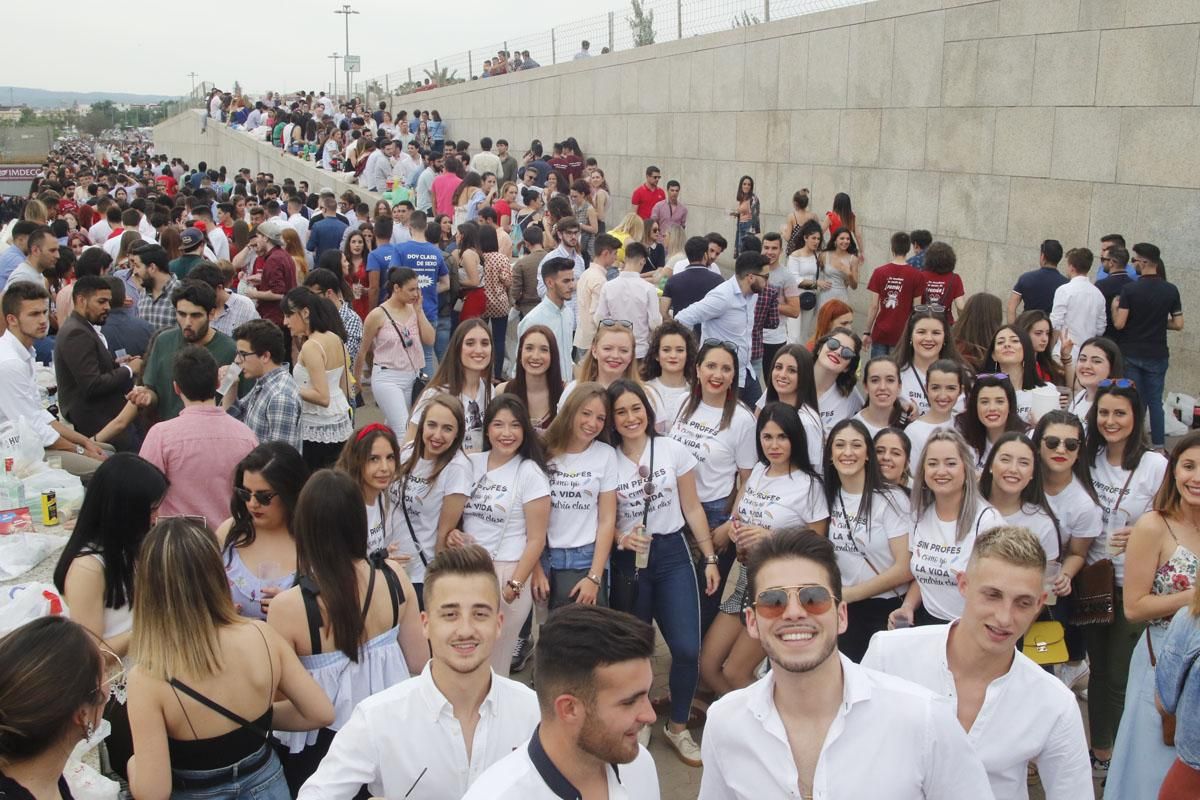 FOTOGALERIA / Botellón en el Arenal