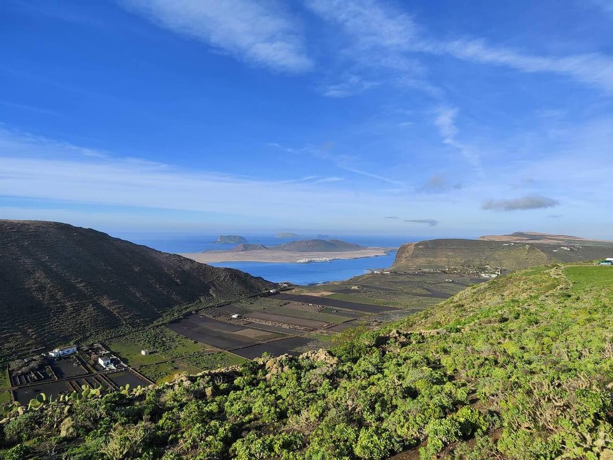 Los campos del norte de Lanzarote se tiñen de verde por las lluvias del invierno