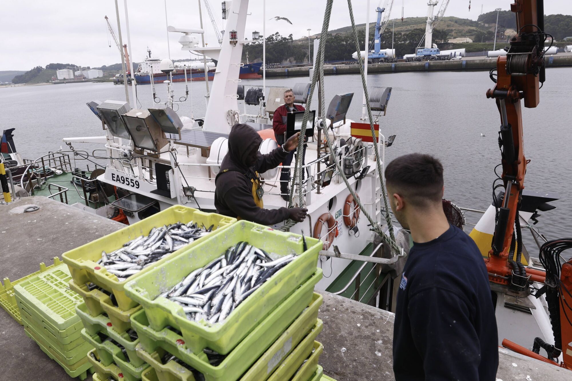 Ferrán Adrià, entre bonitos y bocartes, elogia la capacidad de Asturias de "innovar desde el mar"
