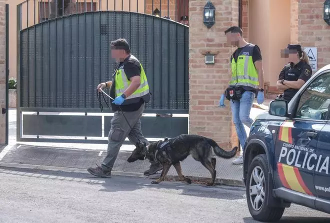 La detención en Elche de la falsa hija del rey, en imágenes