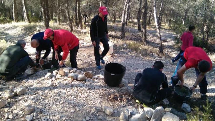 Atletas de clubes de Alcoy mejoran la senda que une el Preventorio con Sant Cristòfol