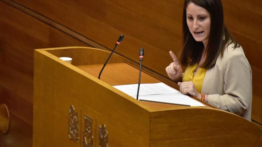 Vox llega tarde a las Cortes