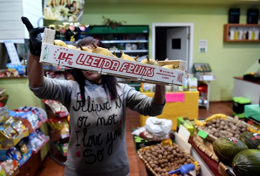 Un hombre agrede a una frutera de Marqués de Pontejos por vender fruta de Lleida