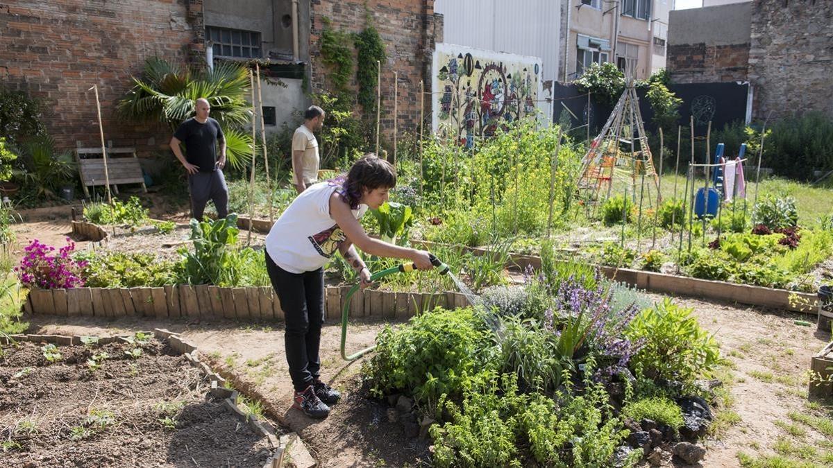 Un grupo de usuarios de ConnectHort colaboran en el mantenimiento de plantas y vegetales