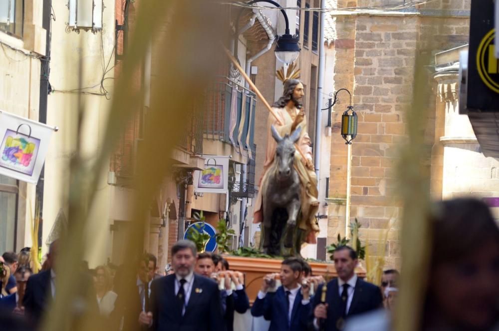 Semana Santa en Benavente: La Borriquita