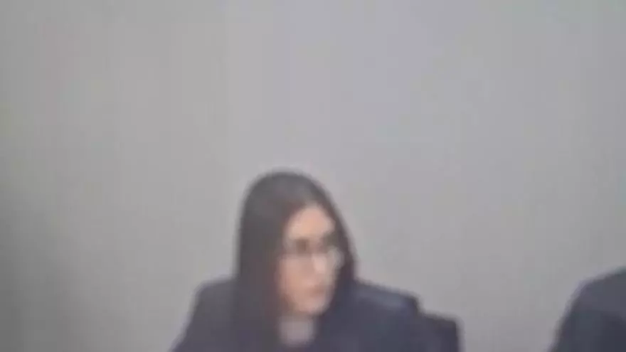 Abogada del estado
