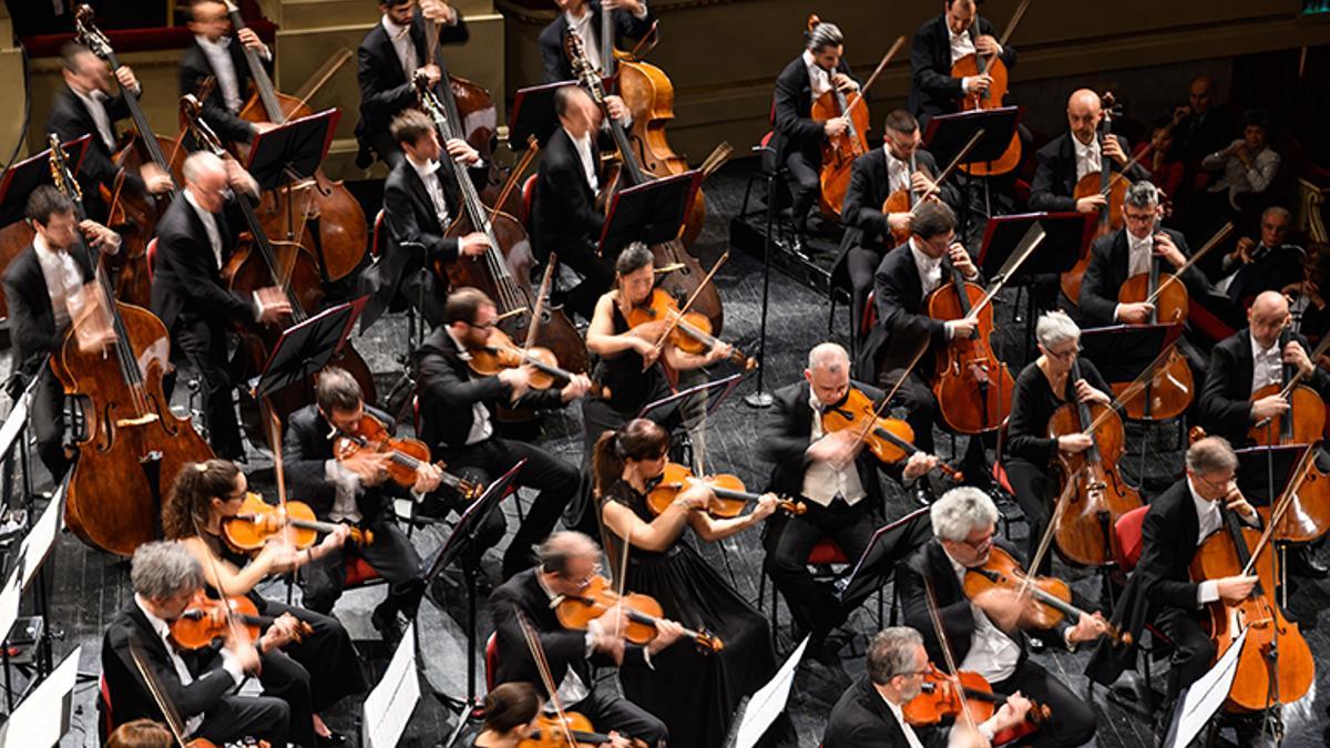OCIO FUERTEVENTURA | Everything You Need to Know About the 41st International Music Festival of the Canary Islands