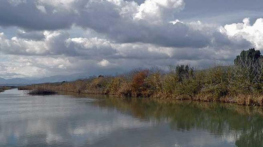 Cuando s&#039;Albufera era un gran foco  de infecciones