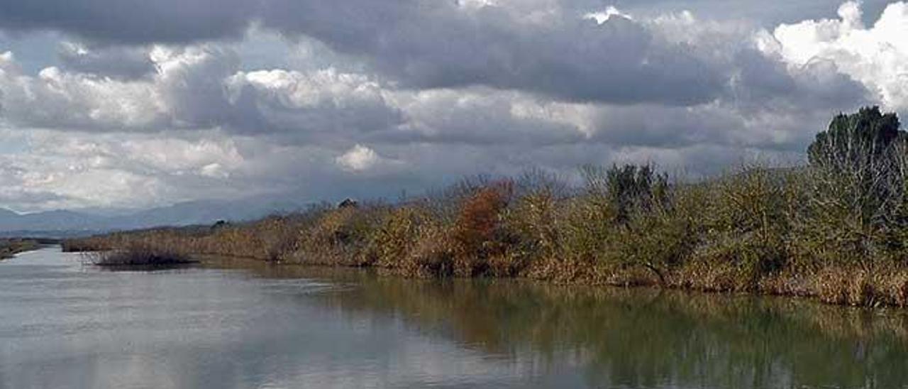 Imagen del Gran Canal de s&#039;Albufera, antiguo foco de infecciones y actual parque natural.