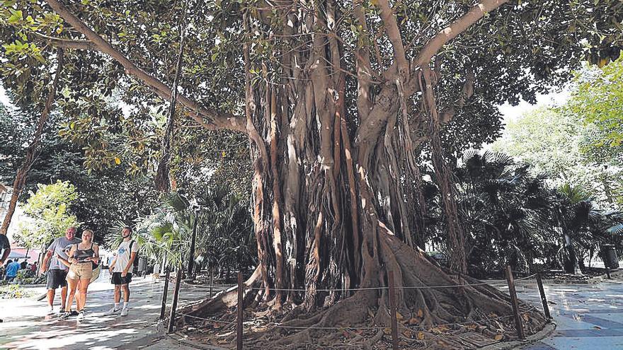 Plaza Gabriel Miró