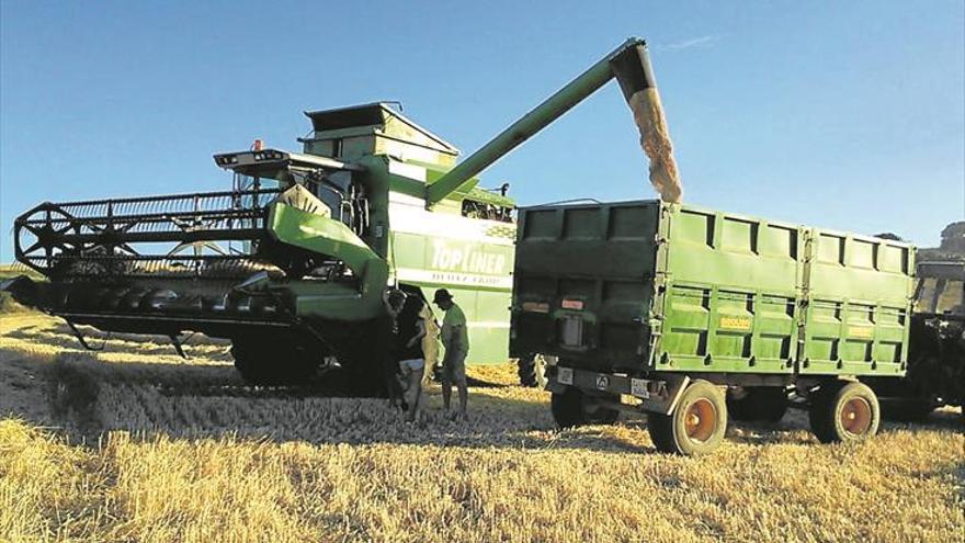 Los agricultores piden que no se les «criminalice» por los incendios