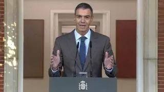 Sánchez convoca elecciones generales para el 29 de noviembre: ¿qué pasa ahora?