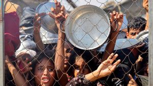Una quinzena de persones moren de gana a Gaza en només 24 hores