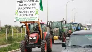 Protestas en el campo: tramitan 548 infracciones a agricultores andaluces por desobediencia e insultos