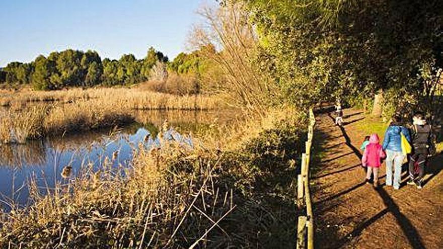 Els aiguamolls de Santpedor s&#039;han convertit en un espai natural de divulgació i un punt de lleure