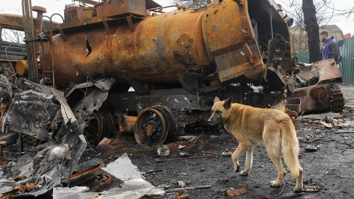 Ein Hund läuft an russischen Militärfahrzeugen vorbei. Angesichts der schockierenden Gräueltaten in der ukrainischen Stadt Butscha bereitet der Westen schärfere Sanktionen gegen Russland vor.