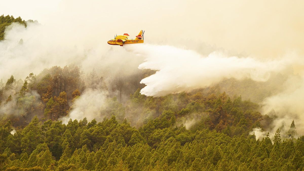 Medios aéreos trabajando en un incendio.