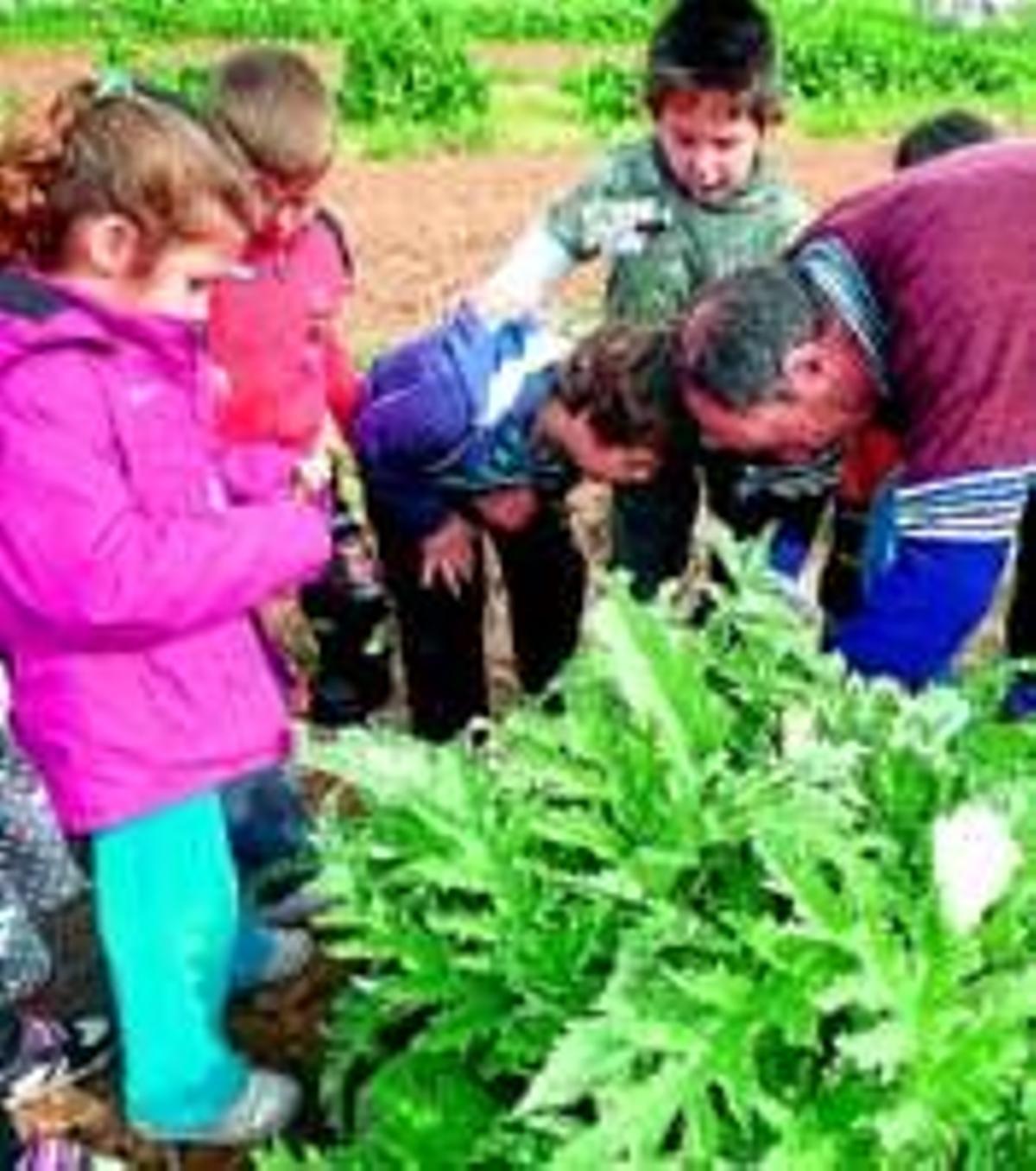 Intensa agenda en la semana cultural