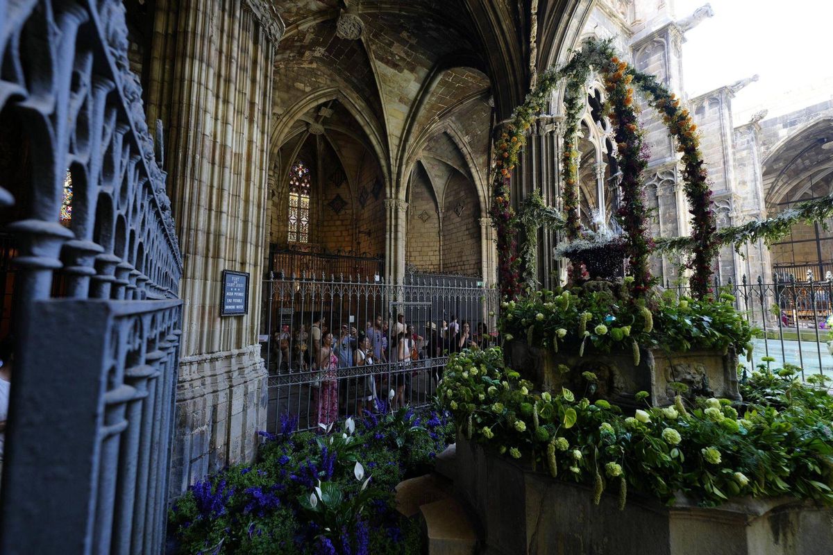 Barcelona 20/06/2025 Lou com balla, ahora con agua nuevamente. en la foto, claustre de la catedral de Barcelona Fotografía de Ferran Nadeu