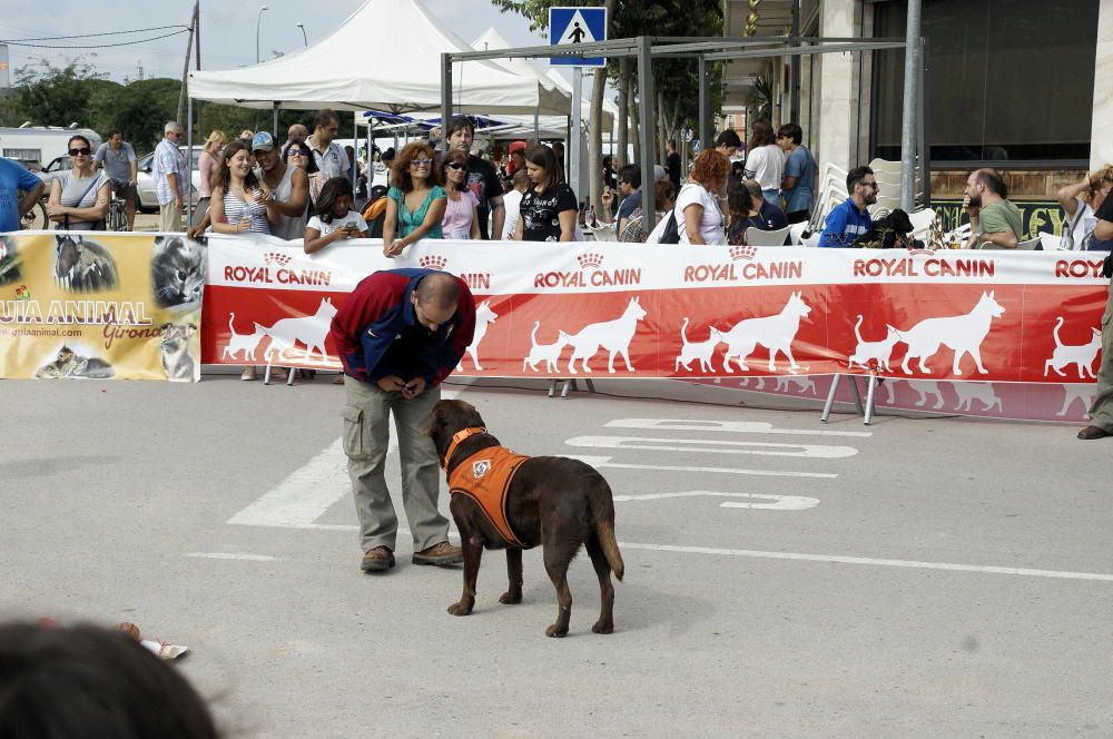 Festival Festiguau