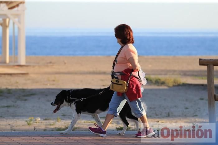 Primer día de paseos al aire libre en Mazarrón