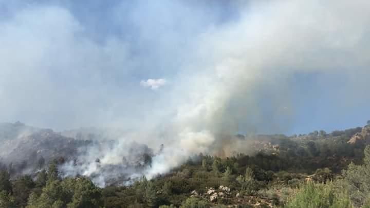 Incendio en Benigembla y Castell de Castells