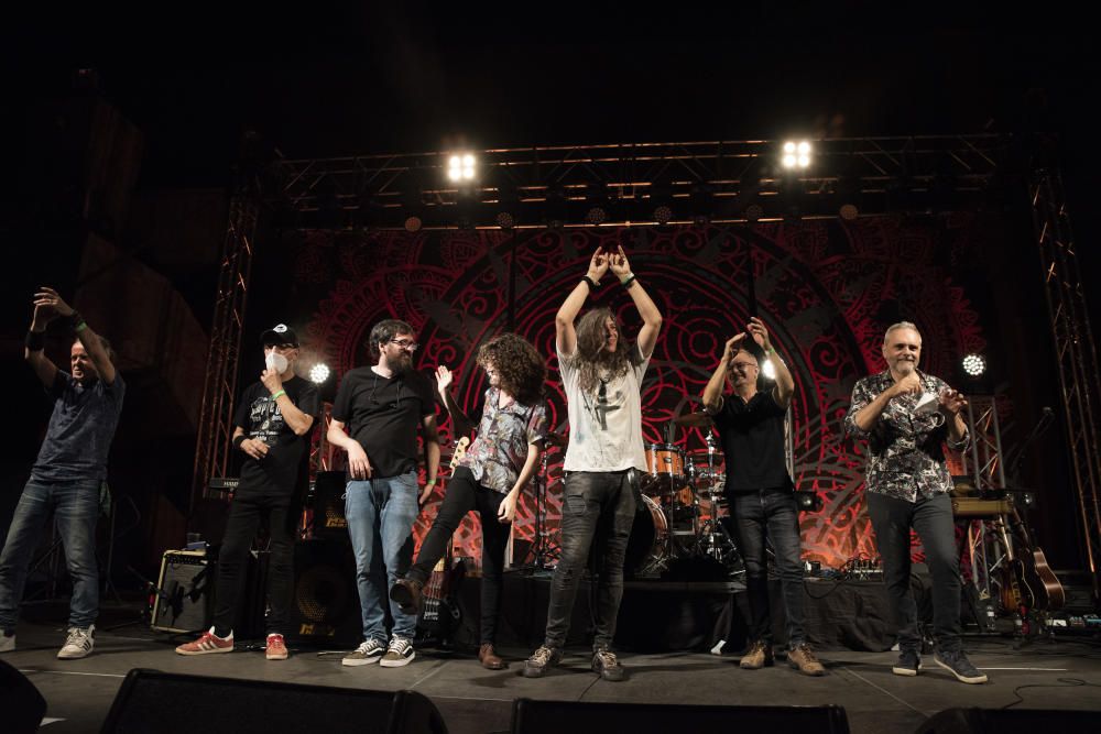 Concert de Sopa de Cabra al Vibra Festival