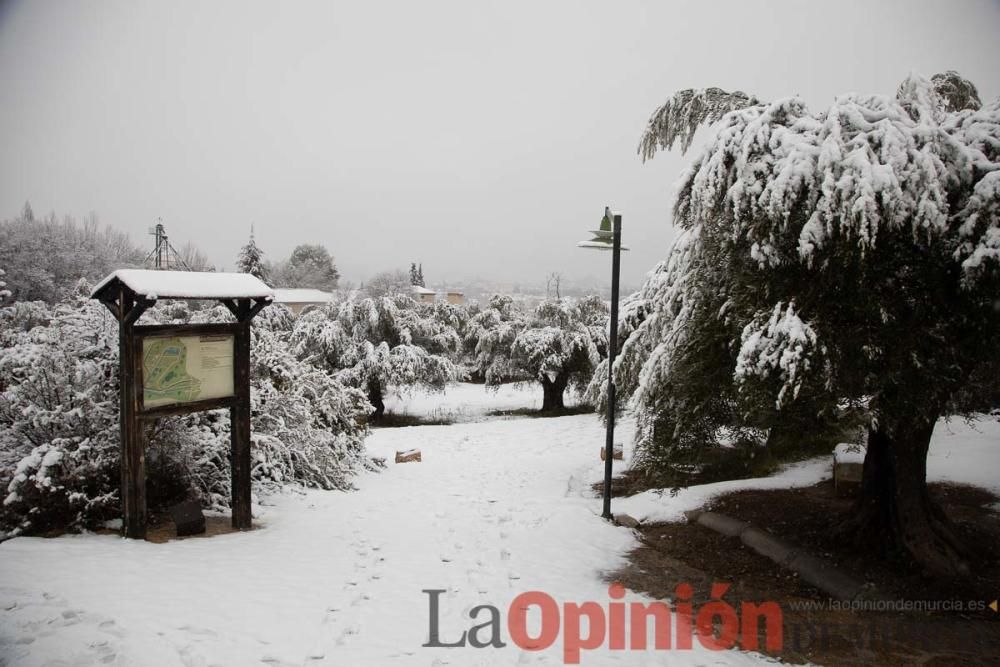 Nieve en las Fuentes del Marqués de Caravaca